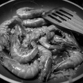 shrimp-ii_15844800529_o.jpg